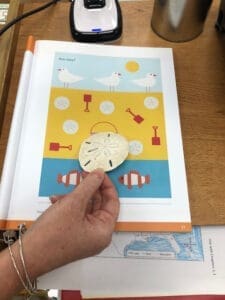 Math book and teacher holding Sand Dollar